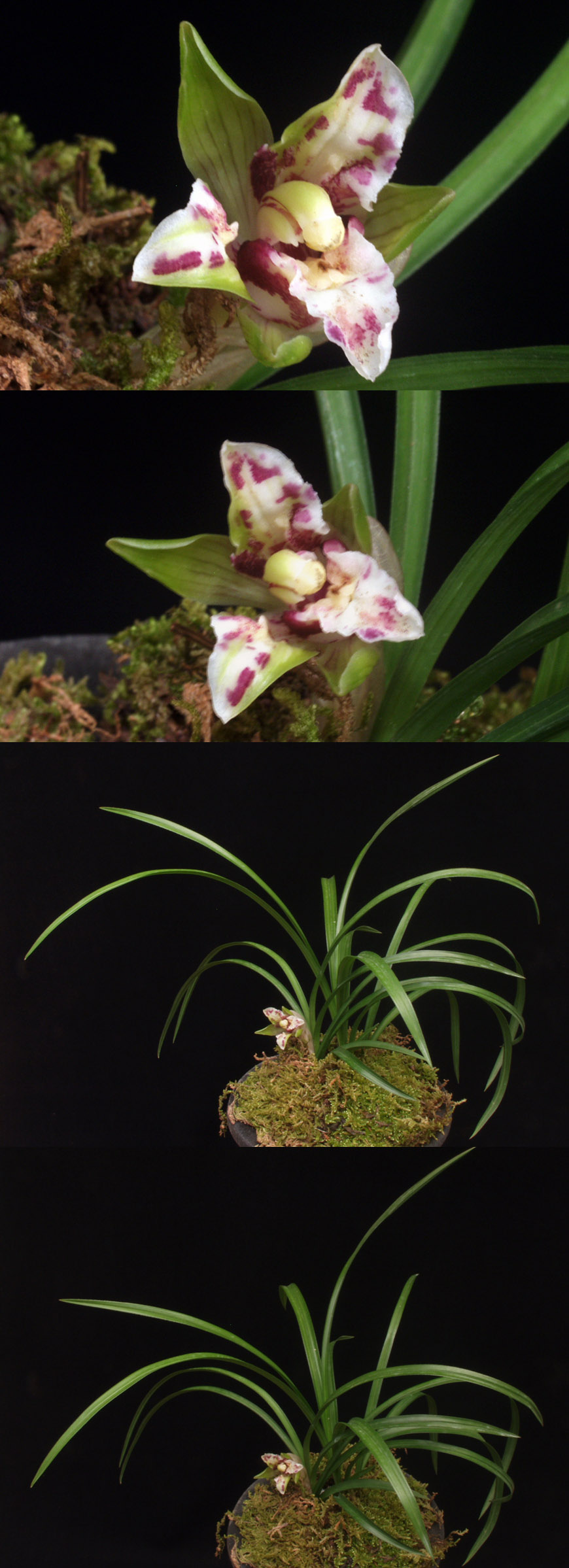 ������ ū������ �� �� �ֽ��ϴ�.