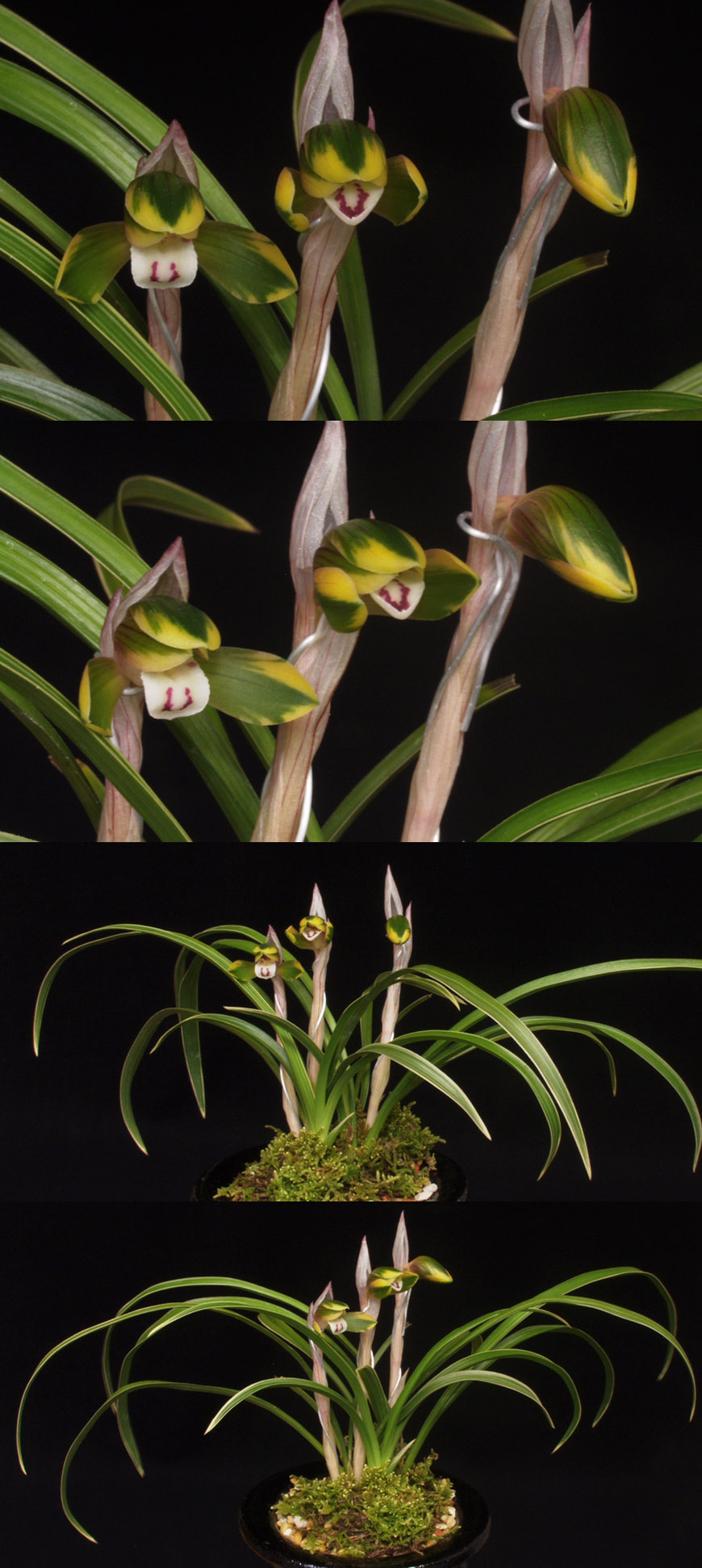 ������ ū������ �� �� �ֽ��ϴ�.