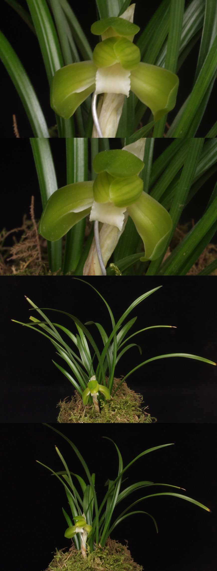 ������ ū������ �� �� �ֽ��ϴ�.