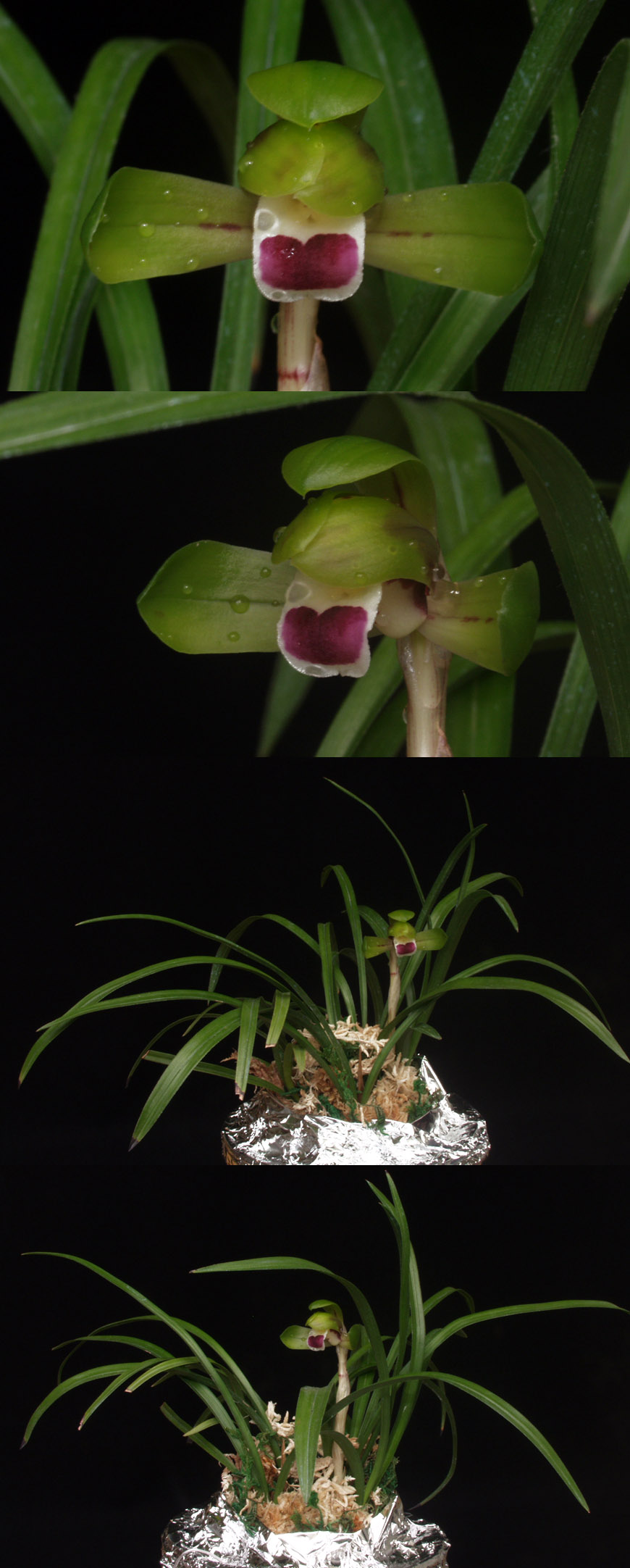 ������ ū������ �� �� �ֽ��ϴ�.