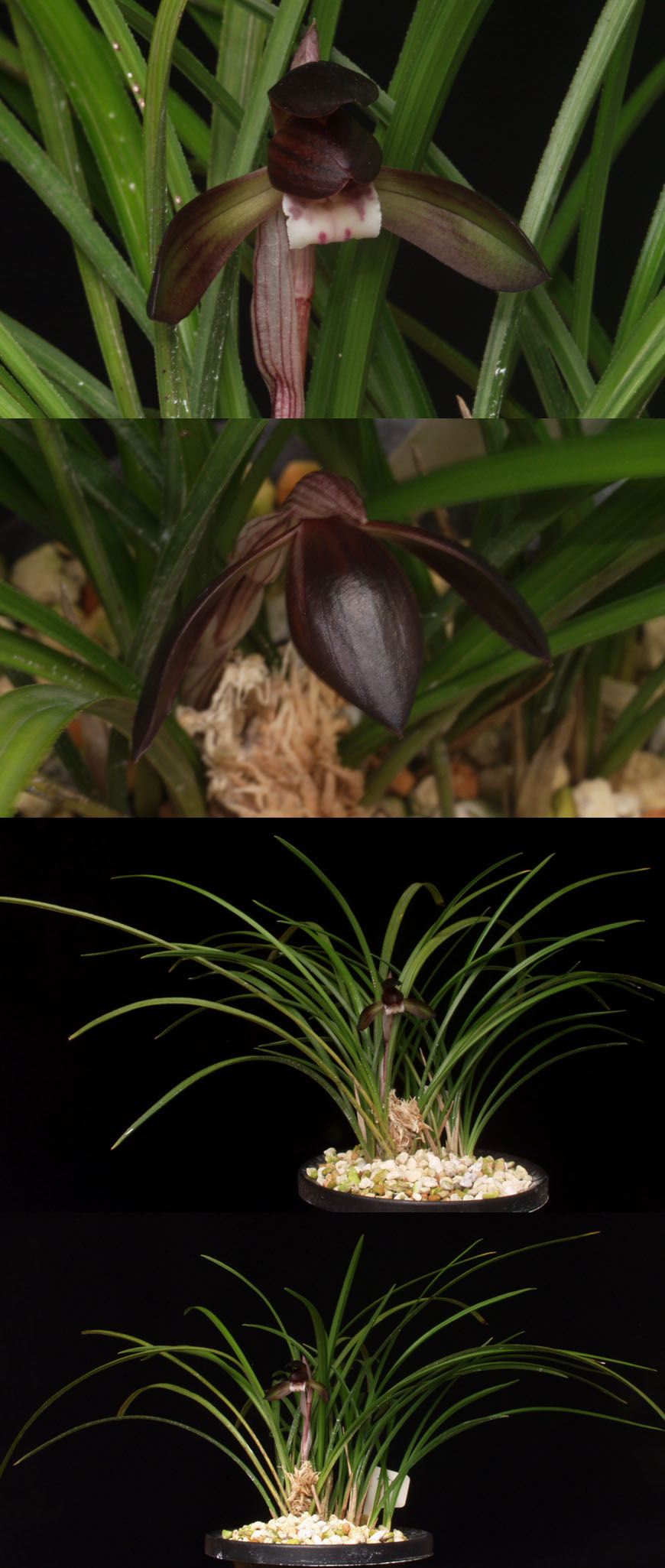 ������ ū������ �� �� �ֽ��ϴ�.