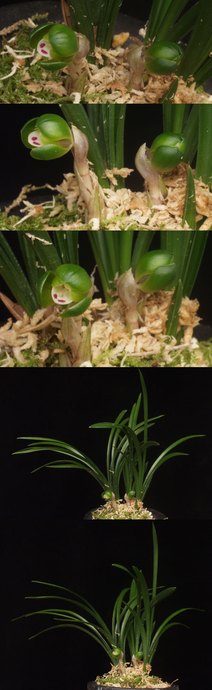 ������ ū������ �� �� �ֽ��ϴ�.