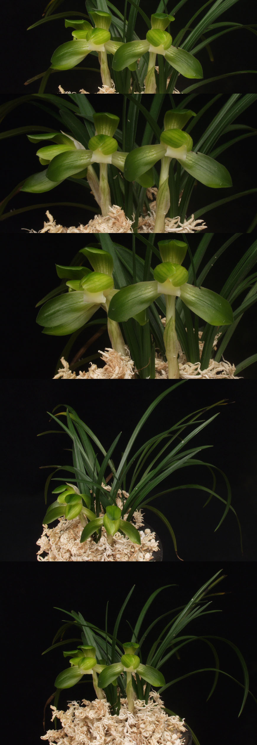 ������ ū������ �� �� �ֽ��ϴ�.