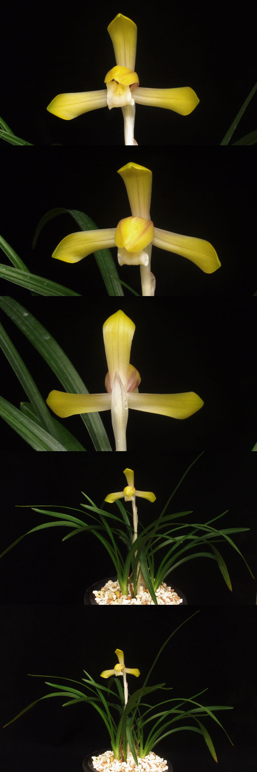 ������ ū������ �� �� �ֽ��ϴ�.