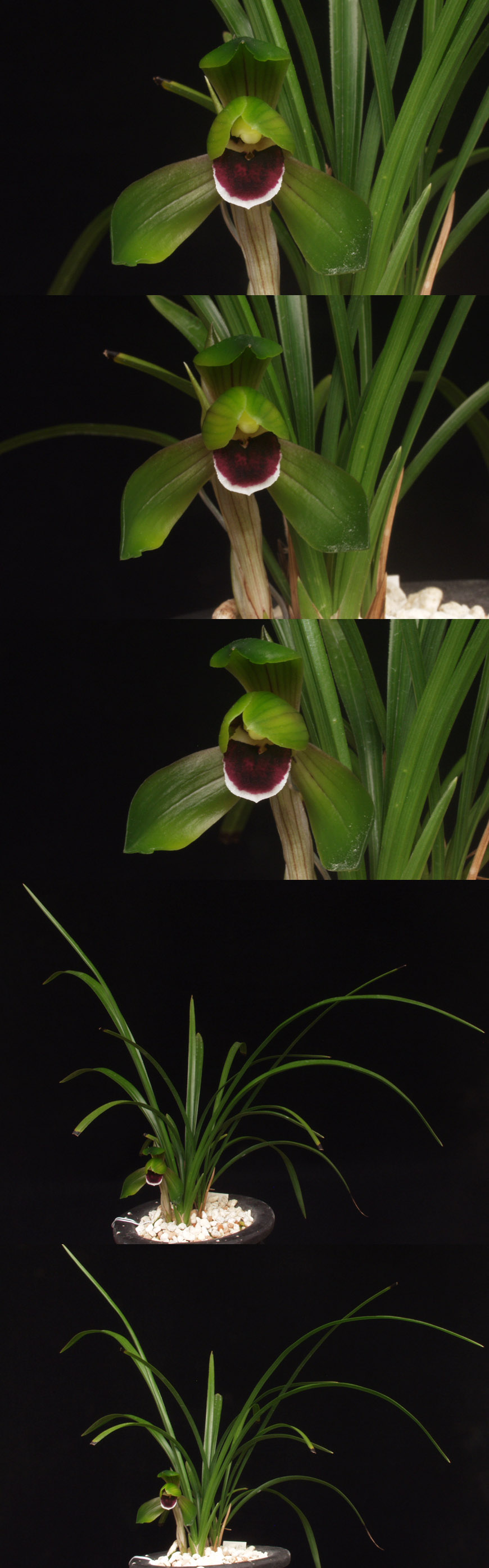 ������ ū������ �� �� �ֽ��ϴ�.