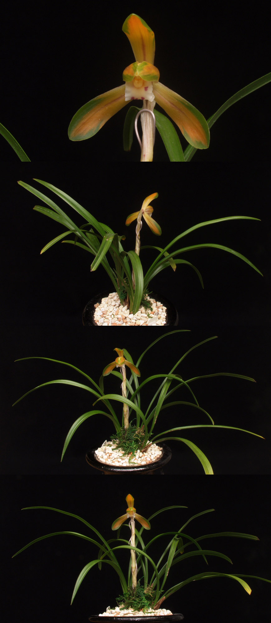 ������ ū������ �� �� �ֽ��ϴ�.