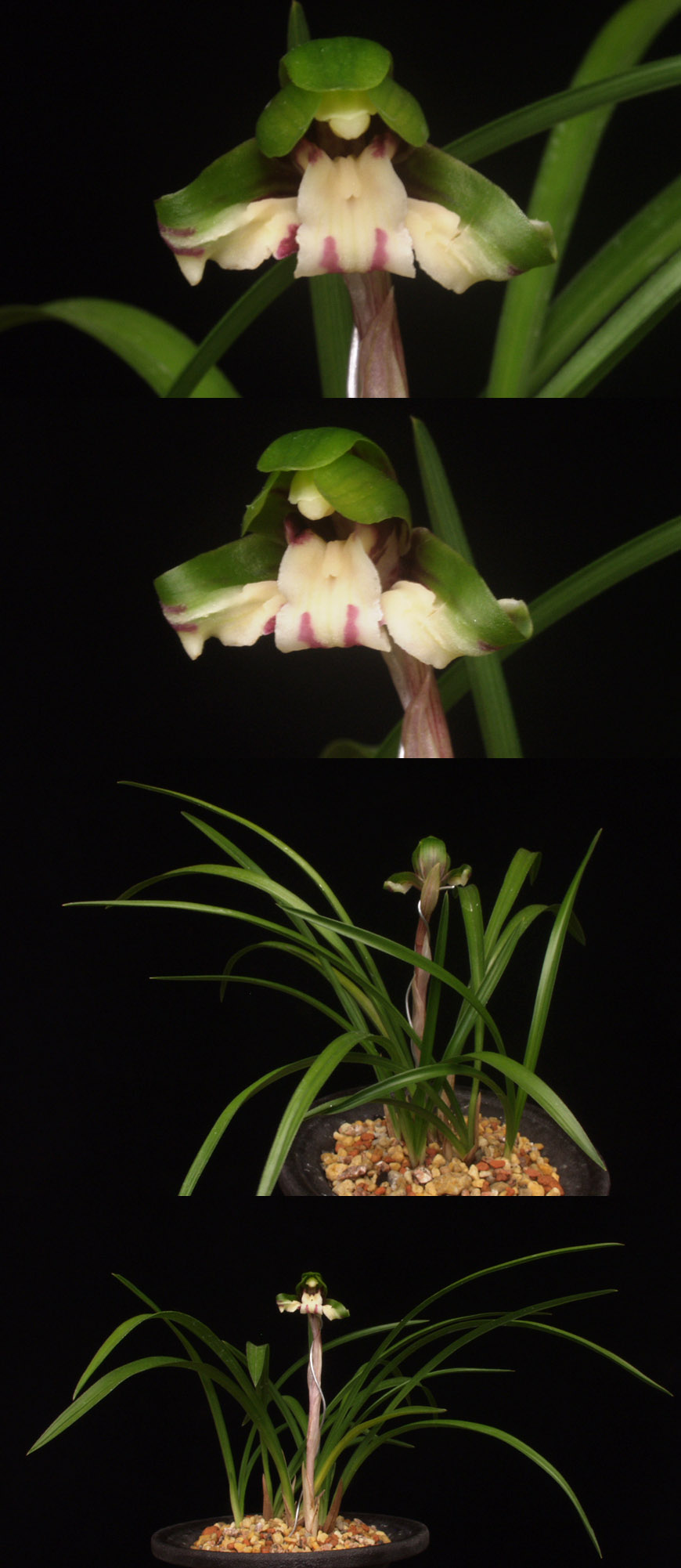 ������ ū������ �� �� �ֽ��ϴ�.