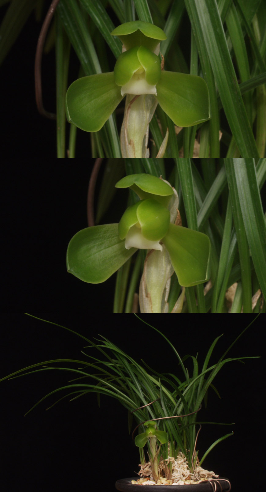 ������ ū������ �� �� �ֽ��ϴ�.