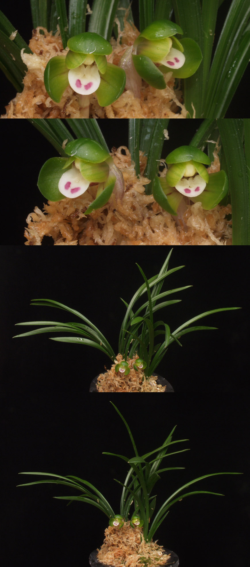 ������ ū������ �� �� �ֽ��ϴ�.