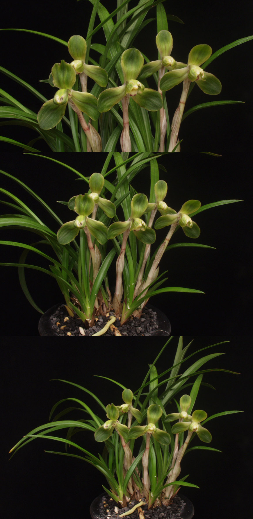 ������ ū������ �� �� �ֽ��ϴ�.