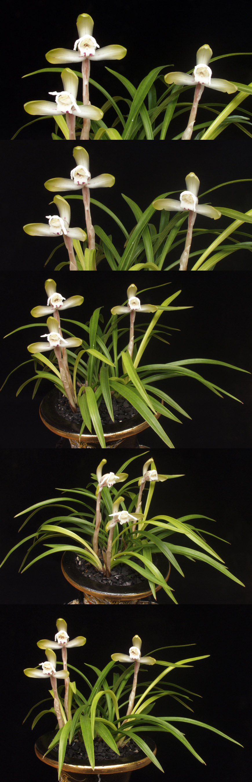 ������ ū������ �� �� �ֽ��ϴ�.