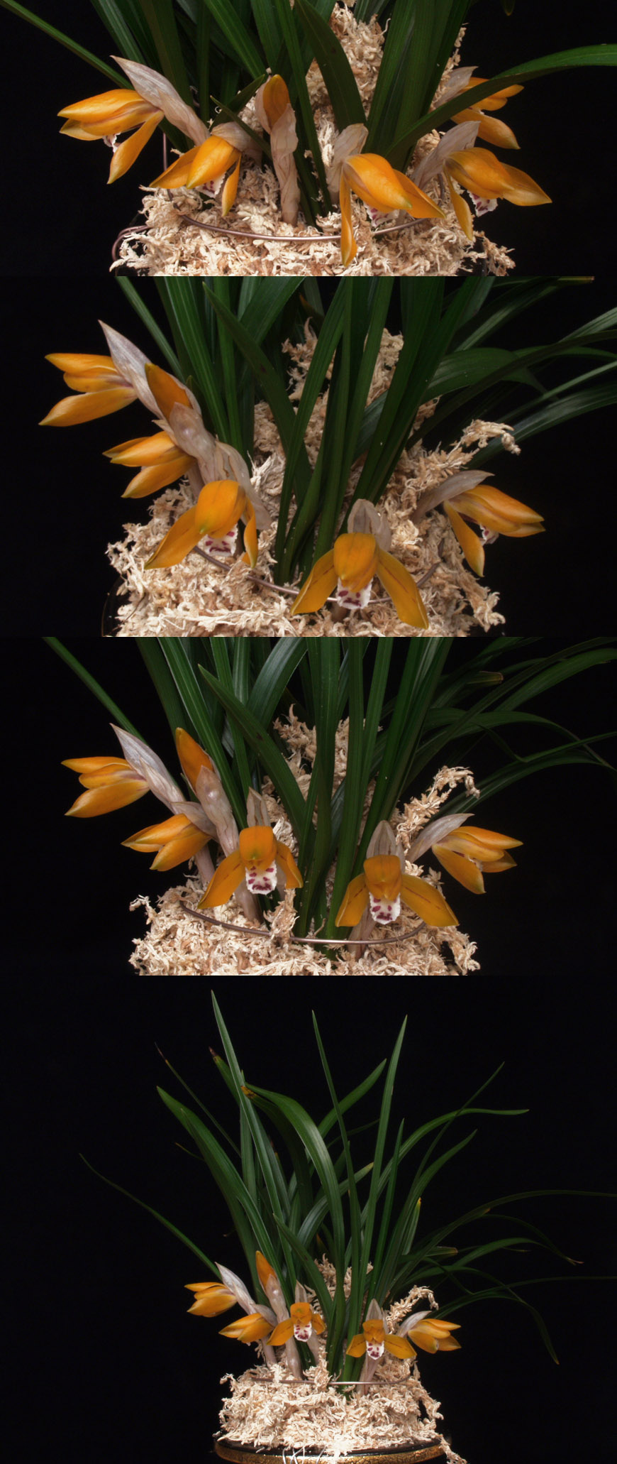 ������ ū������ �� �� �ֽ��ϴ�.