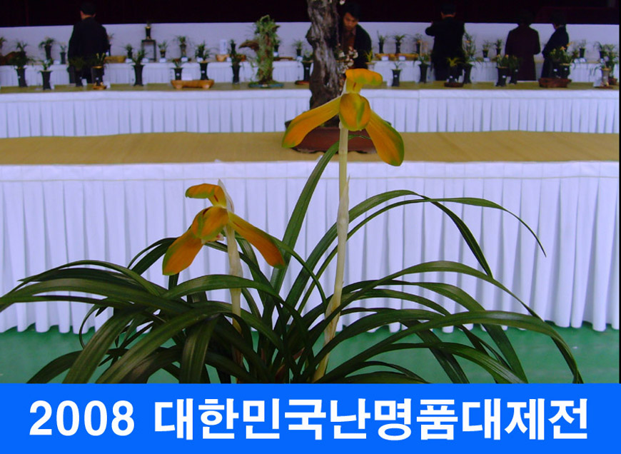 ������ ū������ �� �� �ֽ��ϴ�.