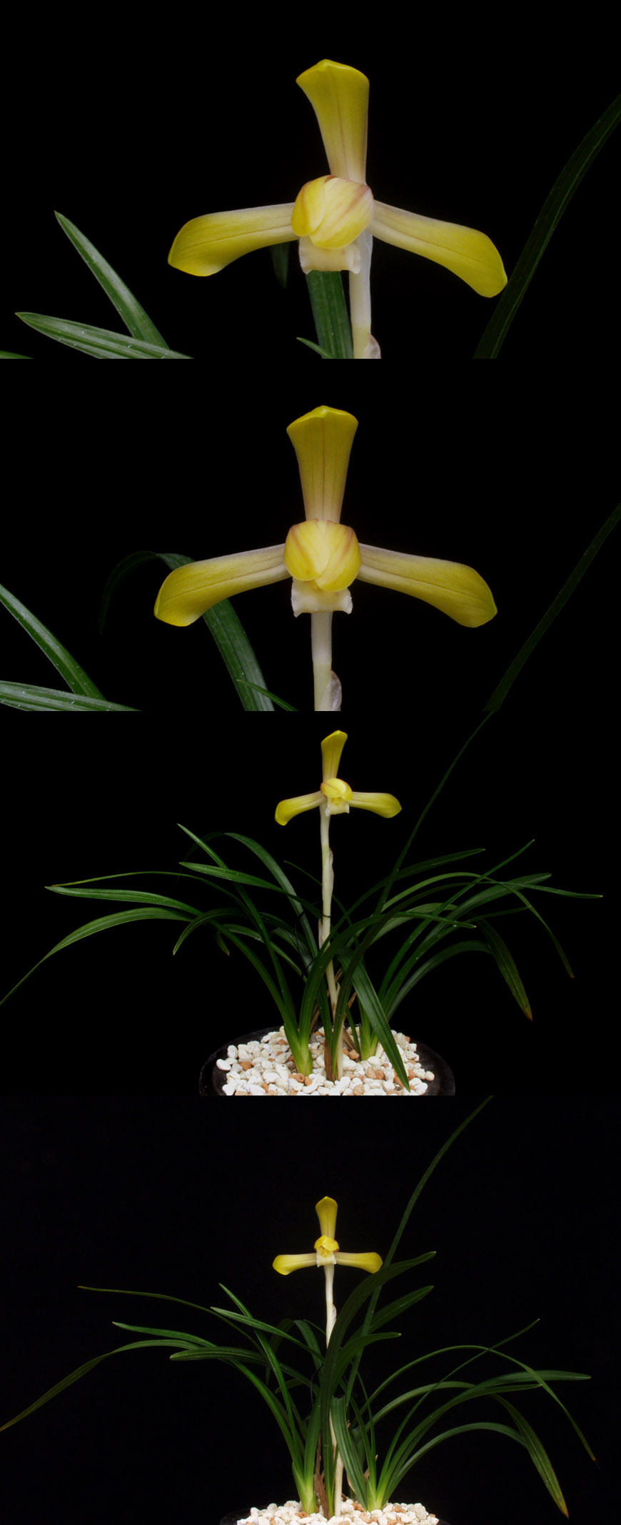 ������ ū������ �� �� �ֽ��ϴ�.