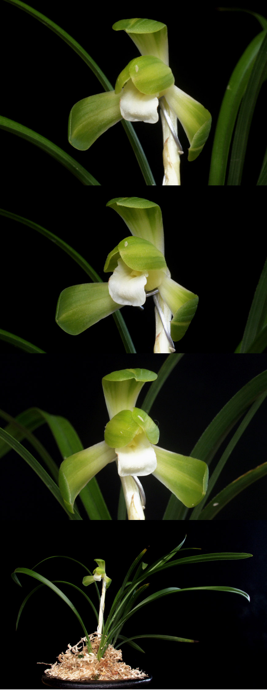 ������ ū������ �� �� �ֽ��ϴ�.