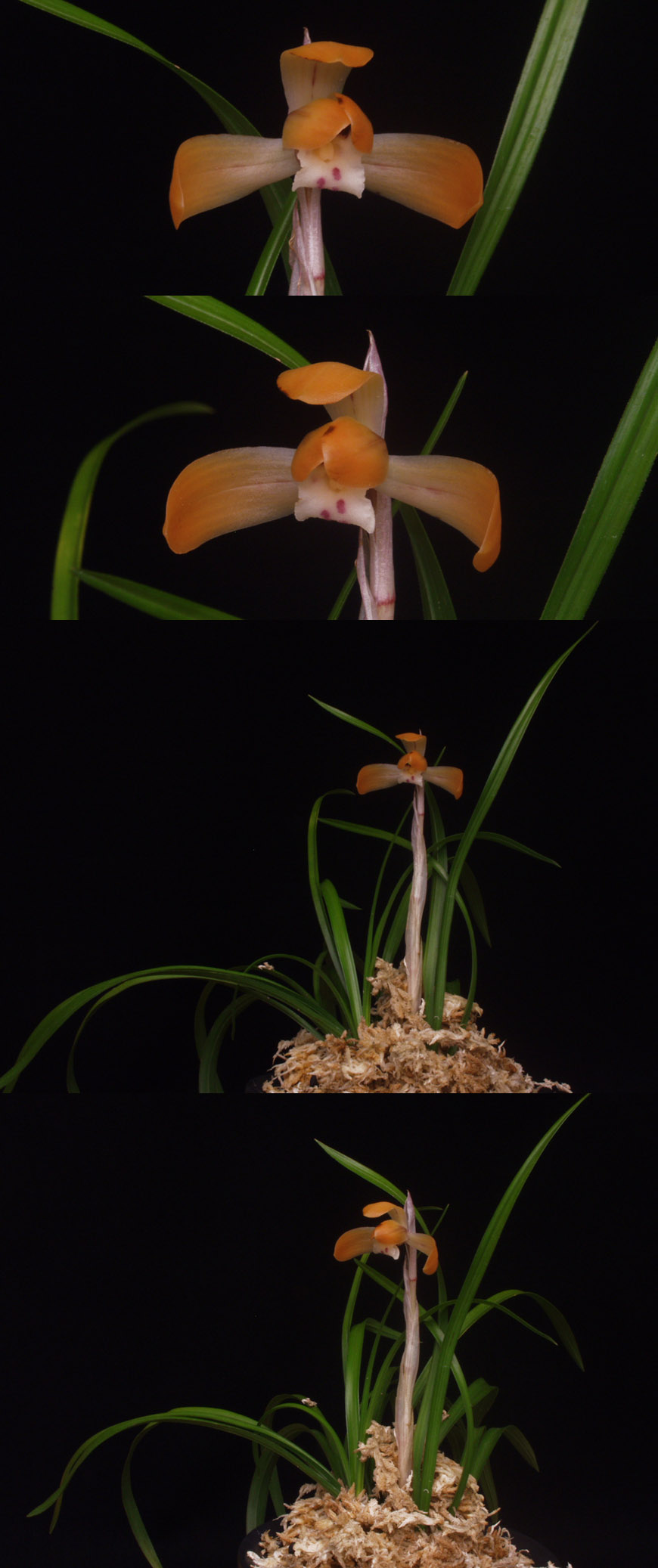 ������ ū������ �� �� �ֽ��ϴ�.