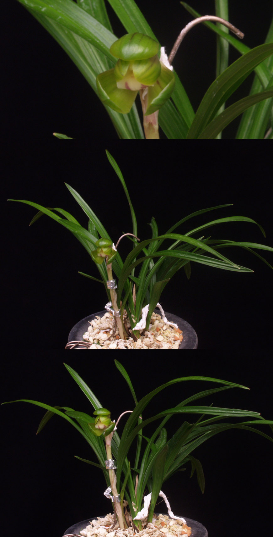 ������ ū������ �� �� �ֽ��ϴ�.