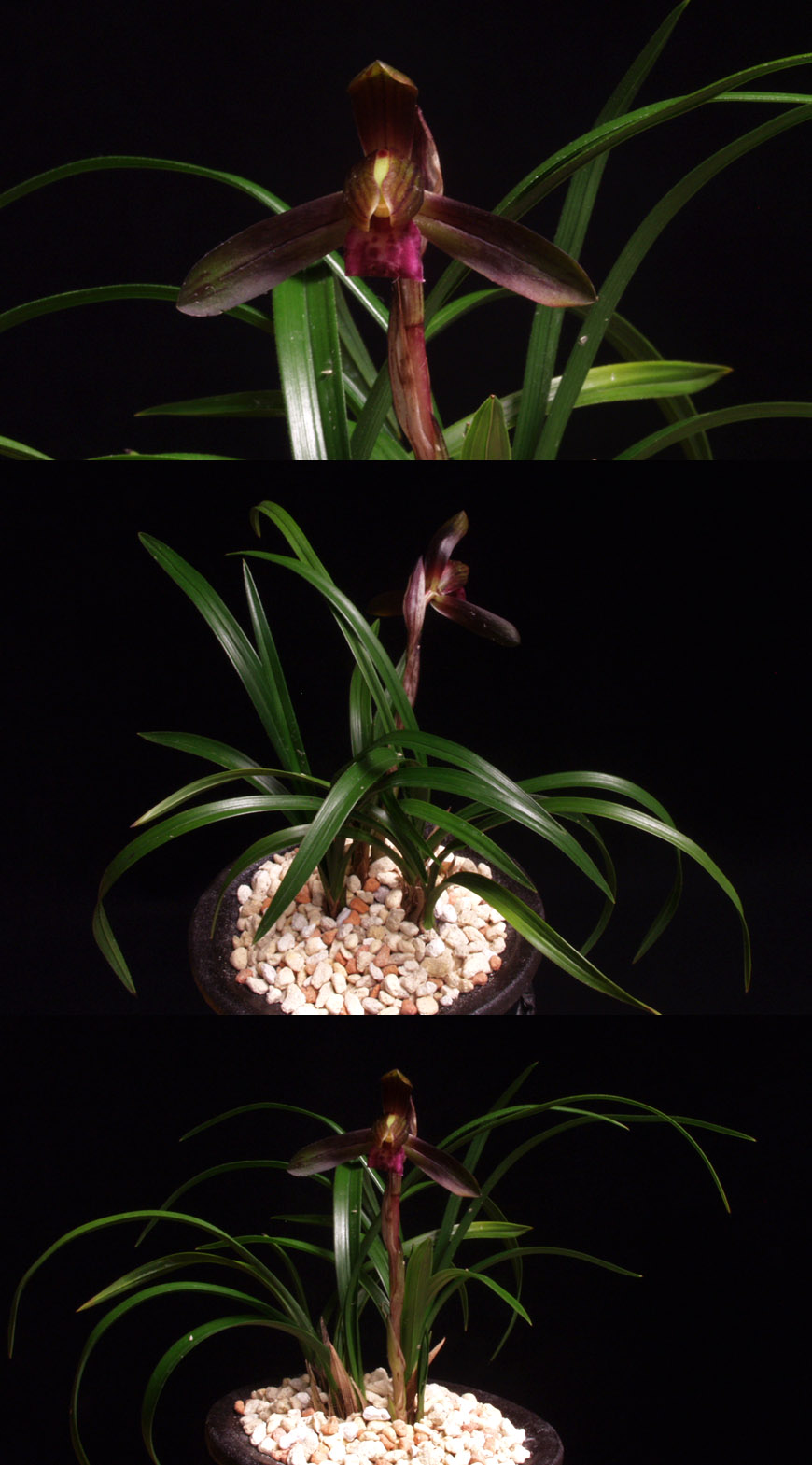 ������ ū������ �� �� �ֽ��ϴ�.