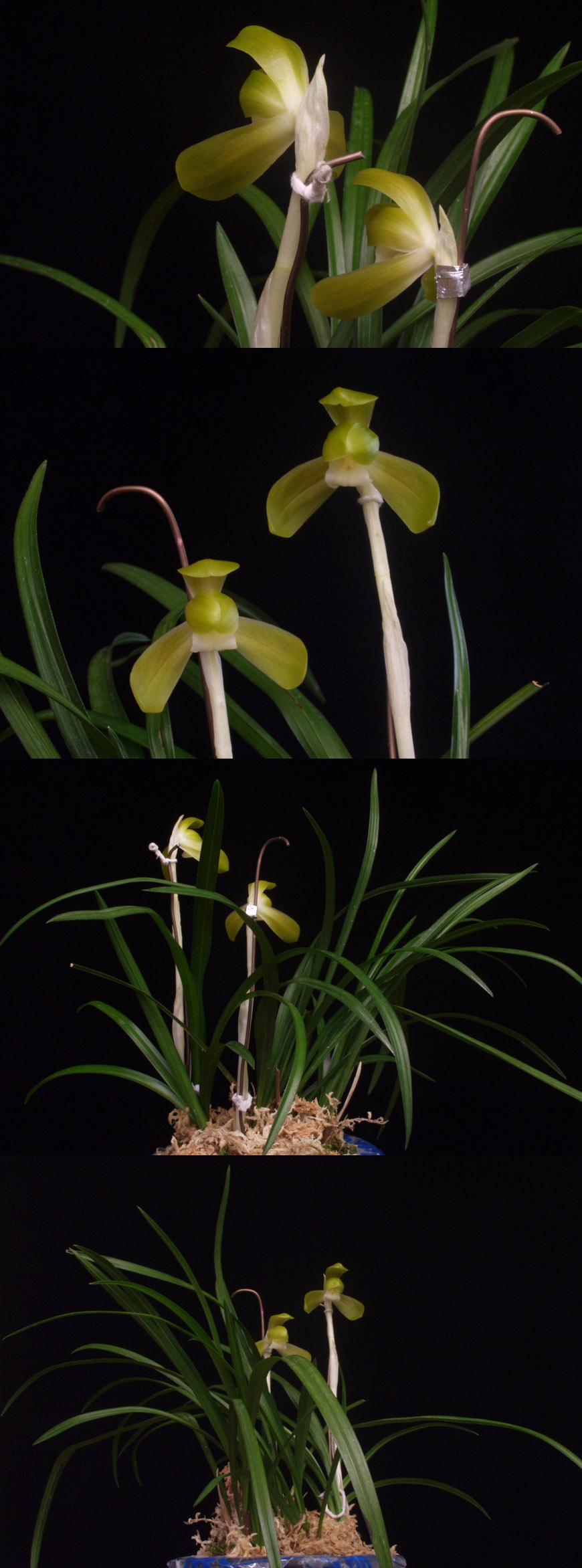 ������ ū������ �� �� �ֽ��ϴ�.