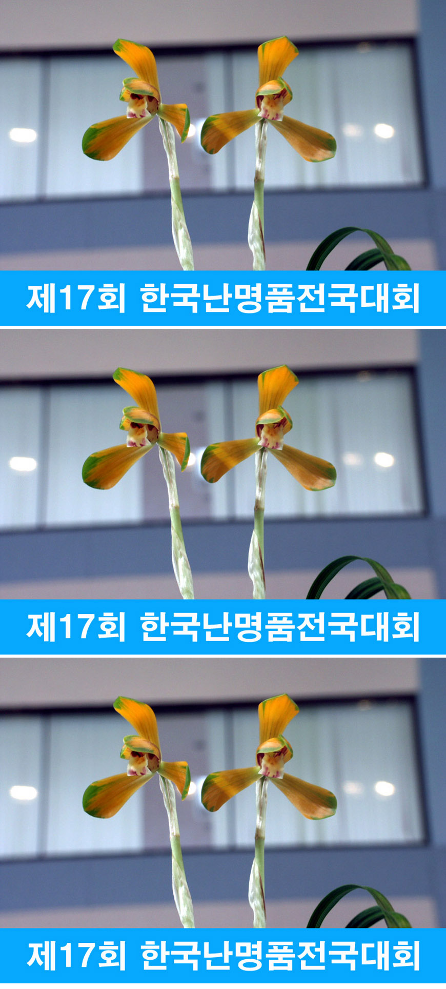 ������ ū������ �� �� �ֽ��ϴ�.