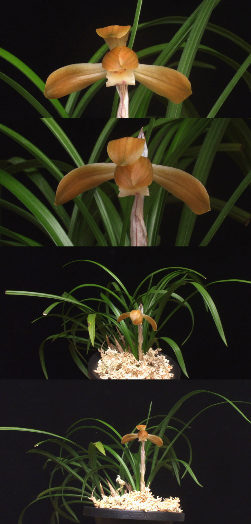 ������ ū������ �� �� �ֽ��ϴ�.