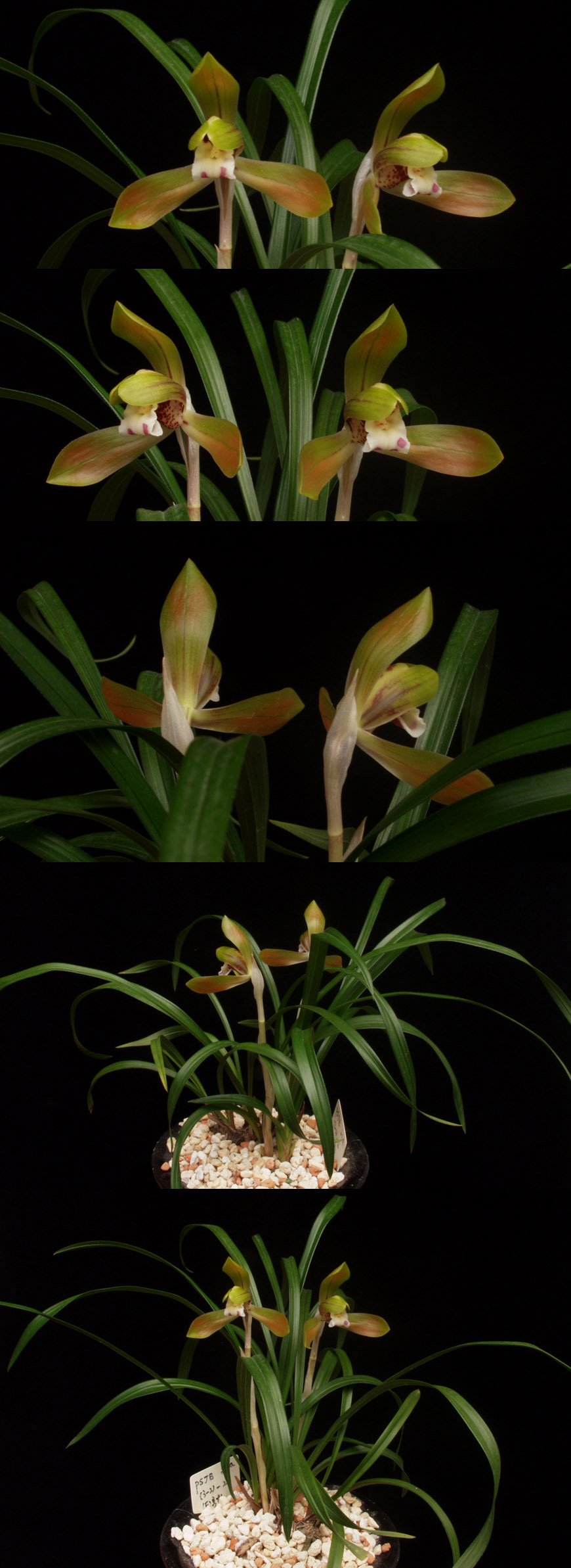 ������ ū������ �� �� �ֽ��ϴ�.