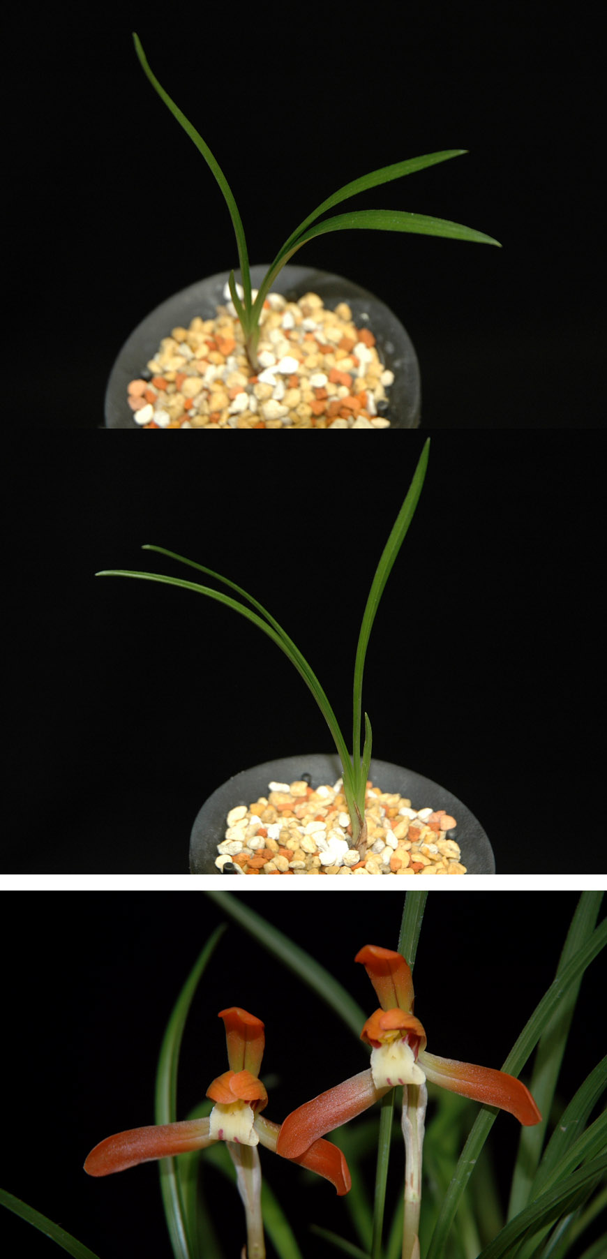 ������ ū������ �� �� �ֽ��ϴ�.