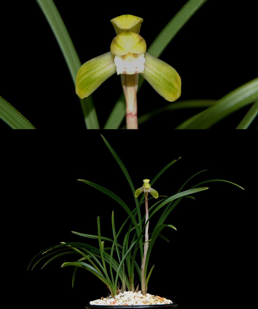 ������ ū������ �� �� �ֽ��ϴ�.