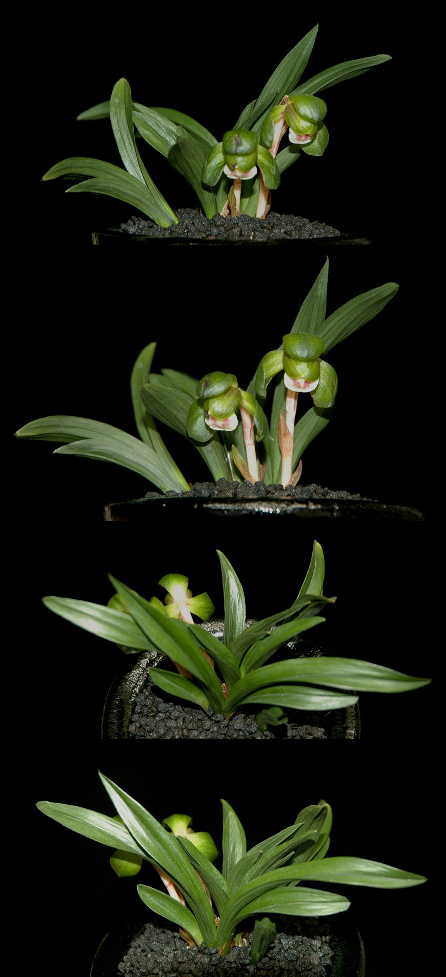 ������ ū������ �� �� �ֽ��ϴ�.