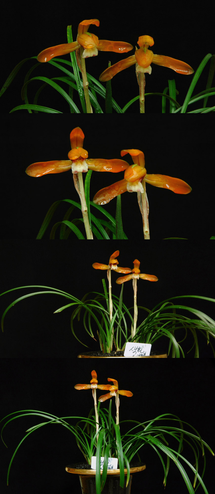 ������ ū������ �� �� �ֽ��ϴ�.