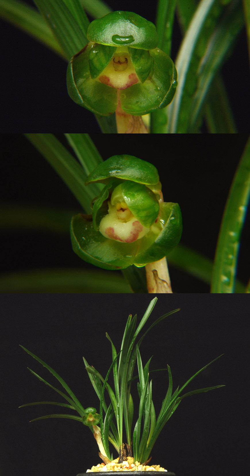 ������ ū������ �� �� �ֽ��ϴ�.