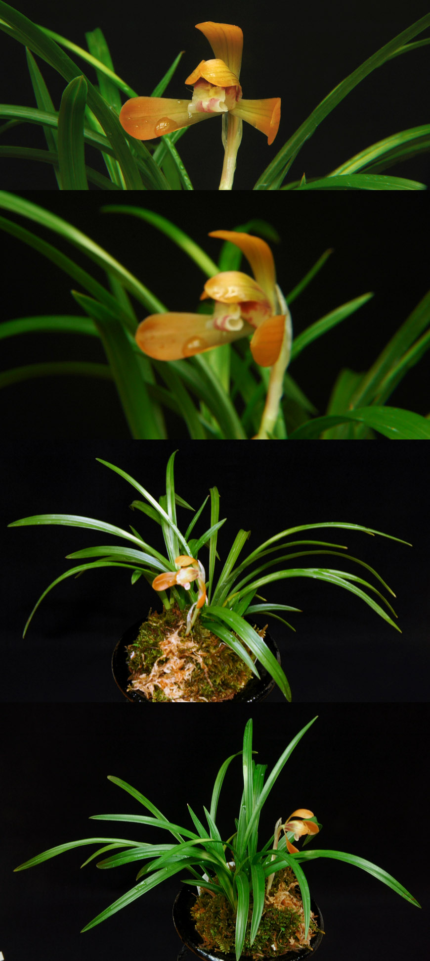 ������ ū������ �� �� �ֽ��ϴ�.