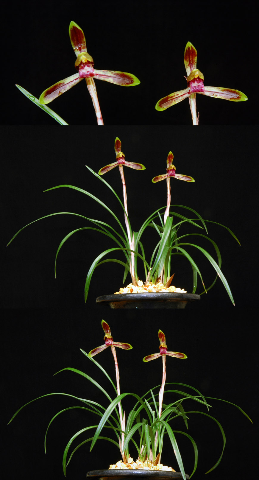 ������ ū������ �� �� �ֽ��ϴ�.