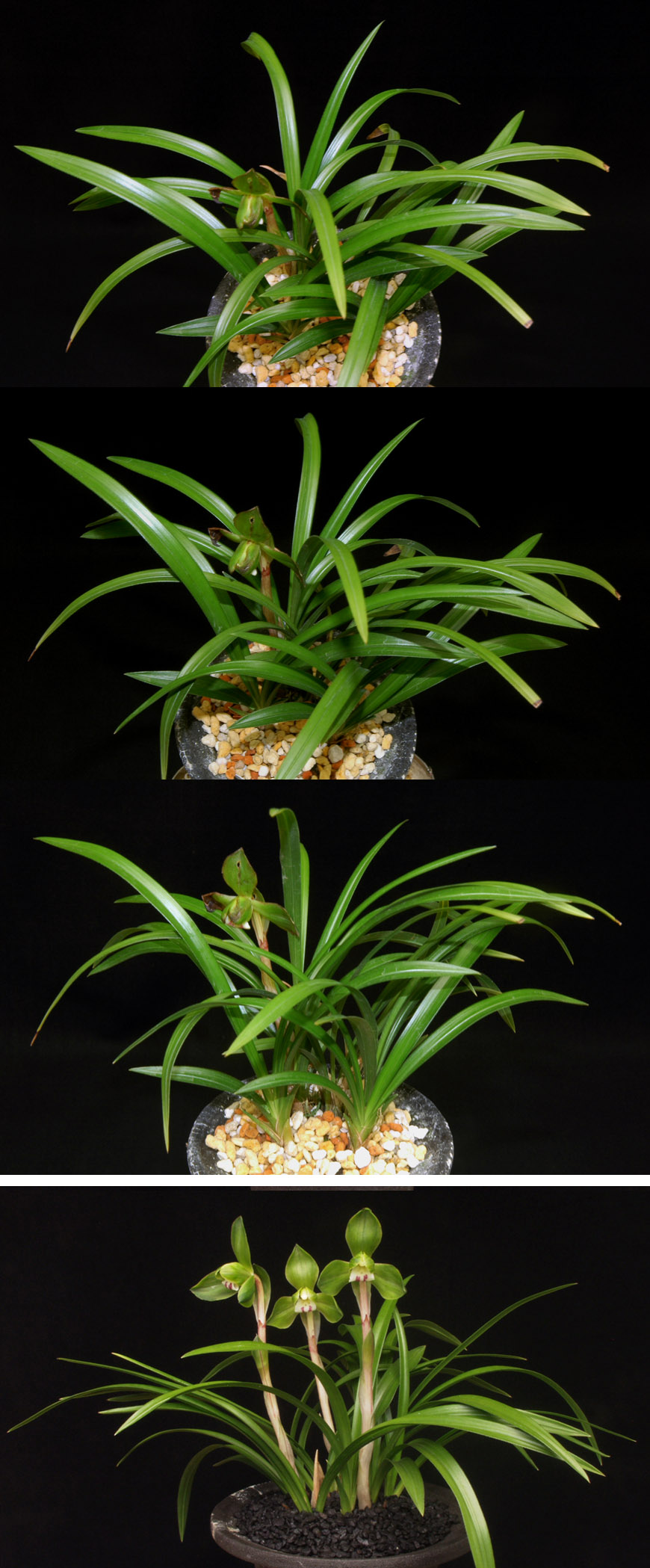 ������ ū������ �� �� �ֽ��ϴ�.