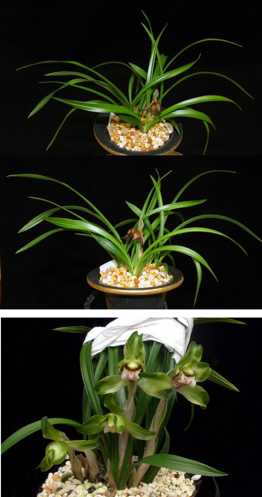 ������ ū������ �� �� �ֽ��ϴ�.