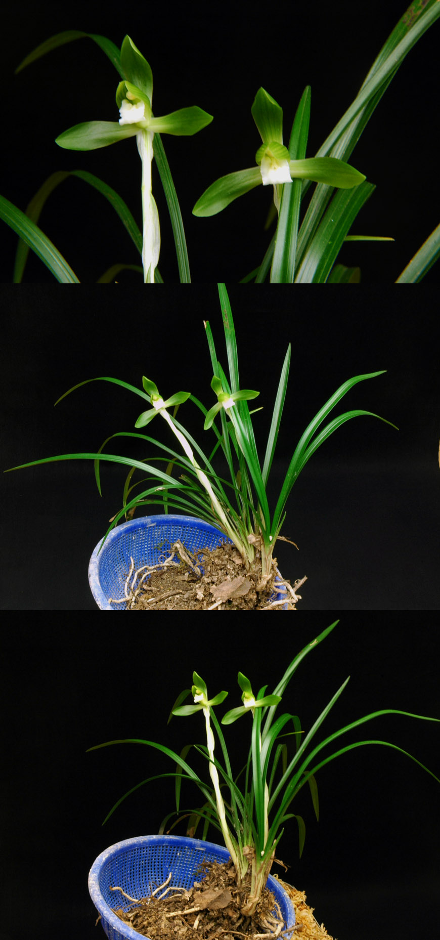 ������ ū������ �� �� �ֽ��ϴ�.