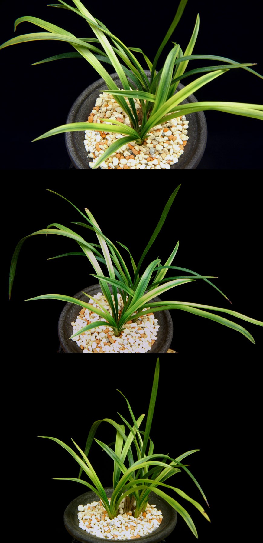 ������ ū������ �� �� �ֽ��ϴ�.