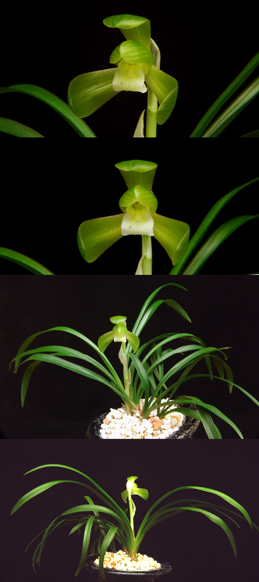 ������ ū������ �� �� �ֽ��ϴ�.