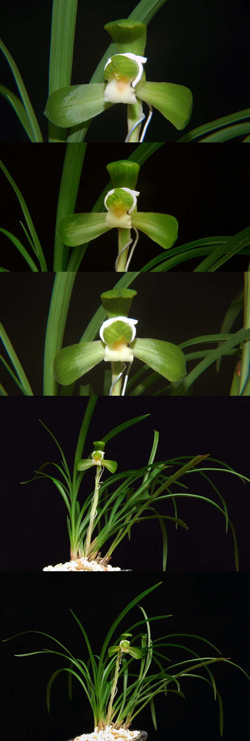 ������ ū������ �� �� �ֽ��ϴ�.