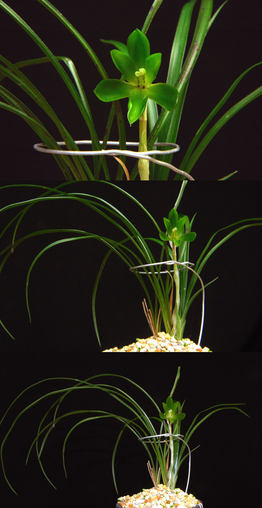 ������ ū������ �� �� �ֽ��ϴ�.