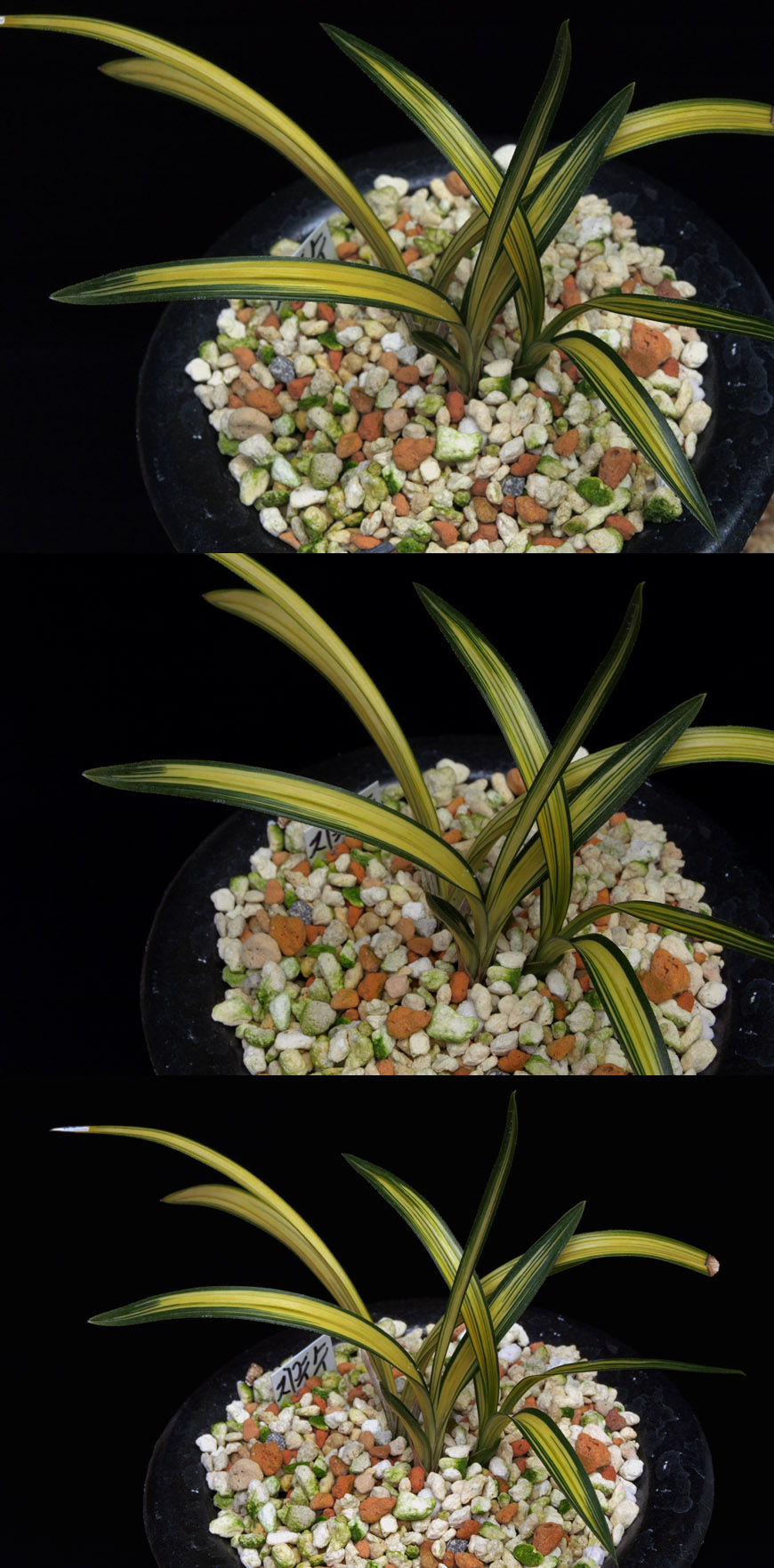 ������ ū������ �� �� �ֽ��ϴ�.