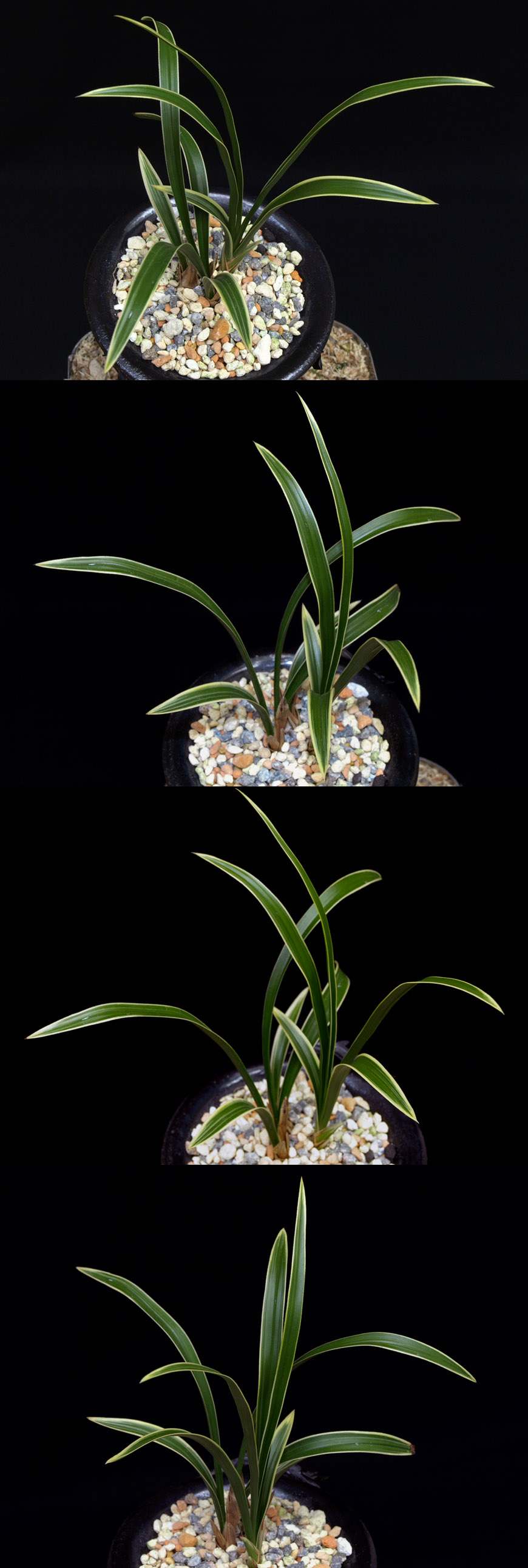 ������ ū������ �� �� �ֽ��ϴ�.