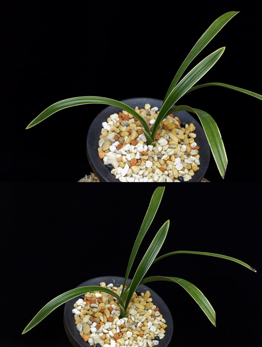 ������ ū������ �� �� �ֽ��ϴ�.