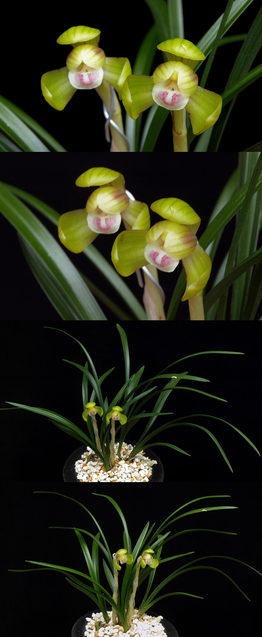 ������ ū������ �� �� �ֽ��ϴ�.