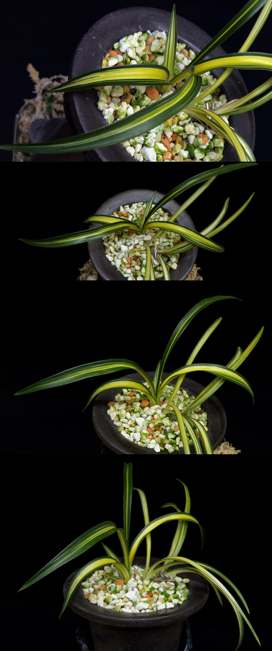 ������ ū������ �� �� �ֽ��ϴ�.