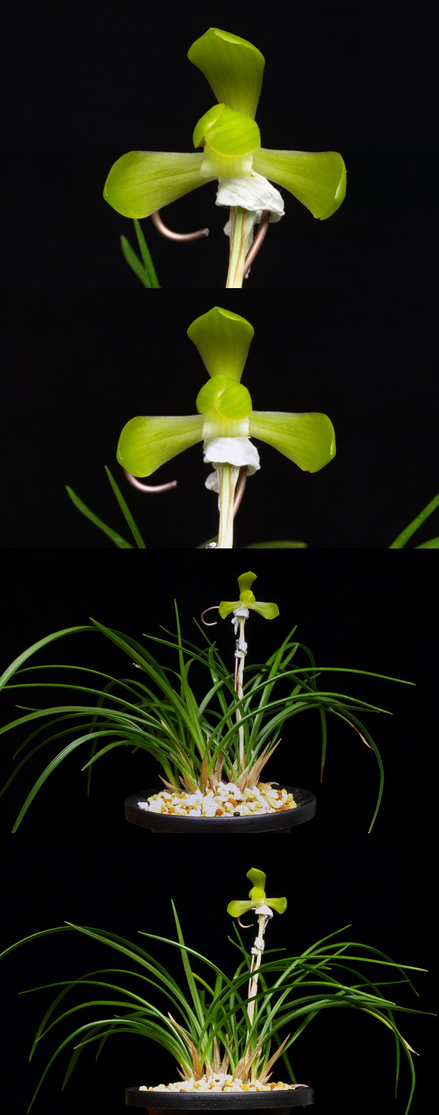 ������ ū������ �� �� �ֽ��ϴ�.