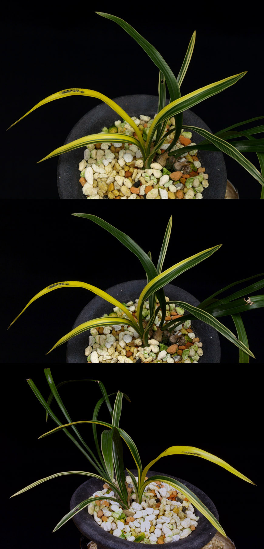 ������ ū������ �� �� �ֽ��ϴ�.