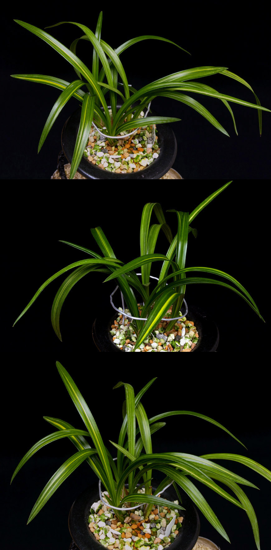 ������ ū������ �� �� �ֽ��ϴ�.