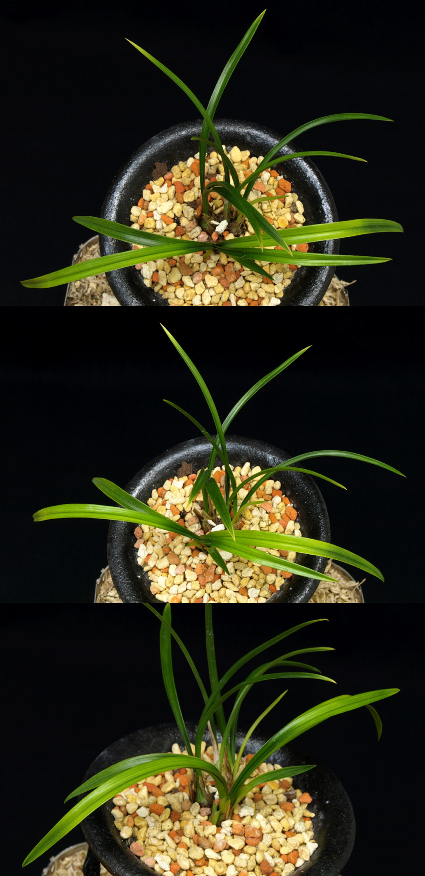 ������ ū������ �� �� �ֽ��ϴ�.