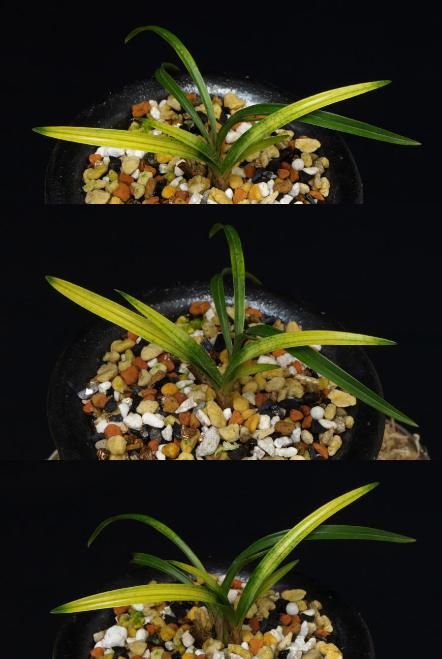 ������ ū������ �� �� �ֽ��ϴ�.